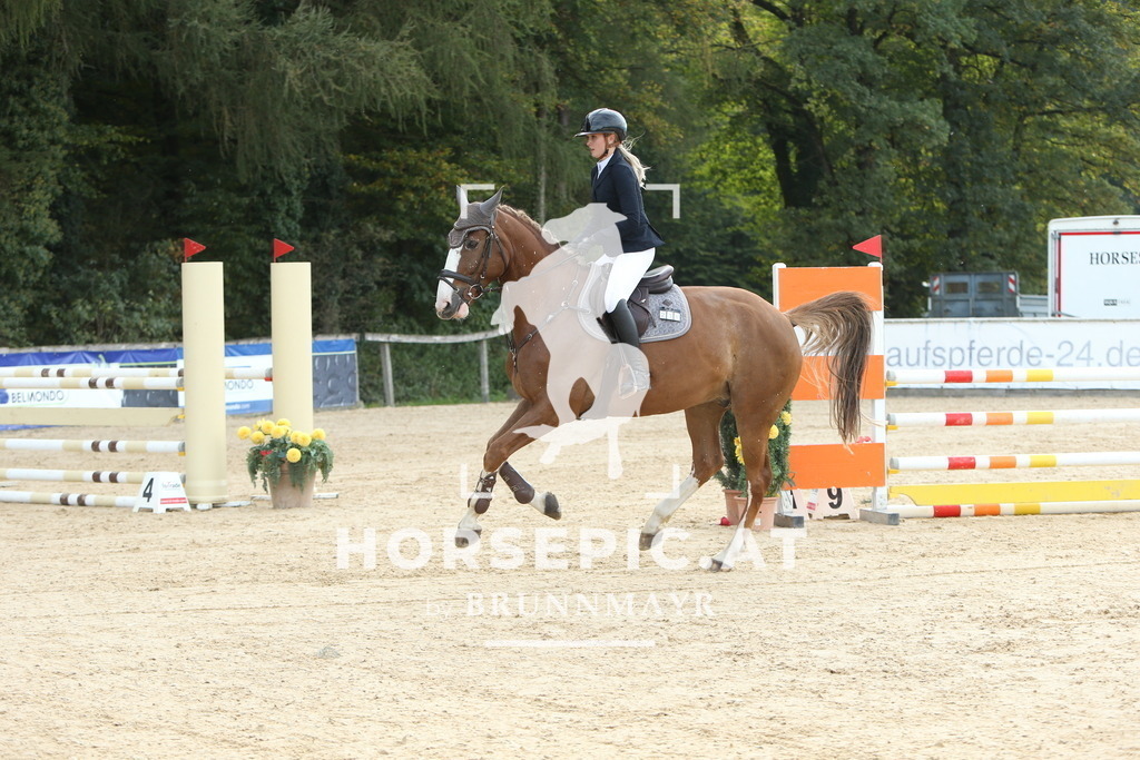 DL2Q7317 | Willkommen bei Brunnmayr - Design & Fotografie – Ihrem Spezialisten für Reitturniere und Pferdeveranstaltungen in Oberösterreich, Salzburg und Bayern! Seit über 17 Jahren sind wir leidenschaftlich dabei.