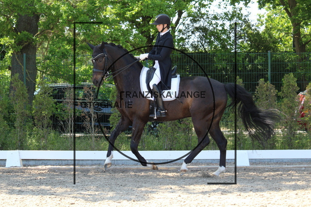 IMG_4676 | franziskalange - Realisiert mit Pictrs.com