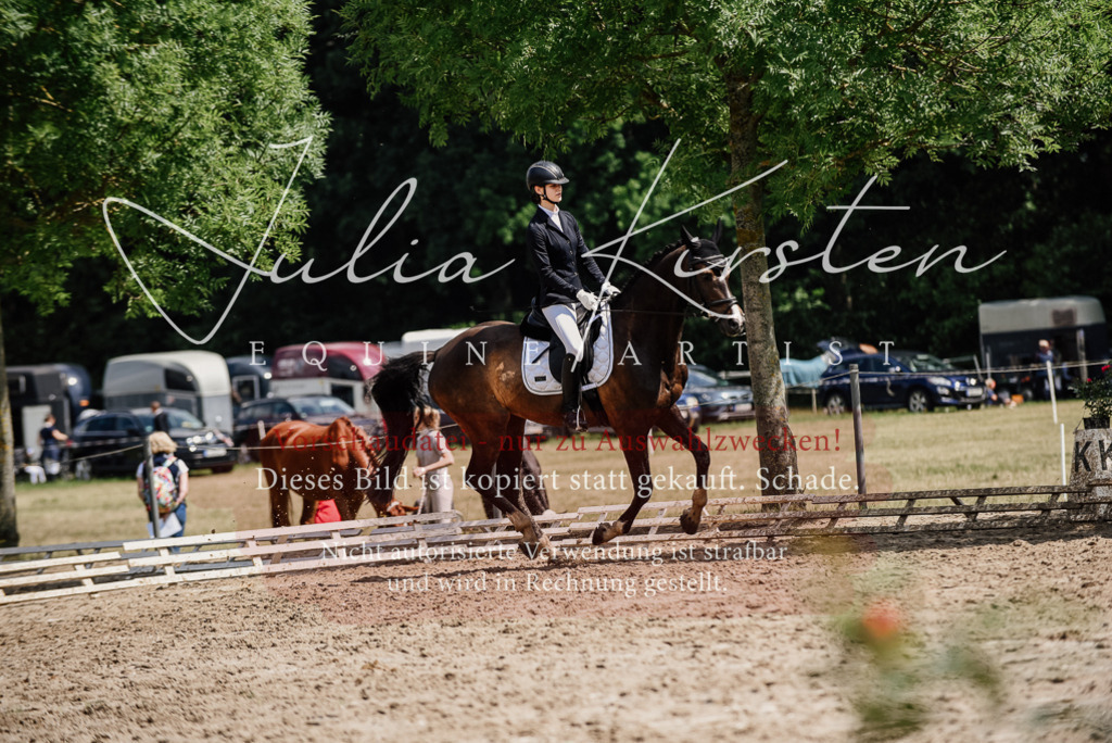 DSC_0859 | Pferde- und Turnierfotografie in Westsachsen. Pferdeportraits, Auftragszeichnungen und intuitive Kunst.