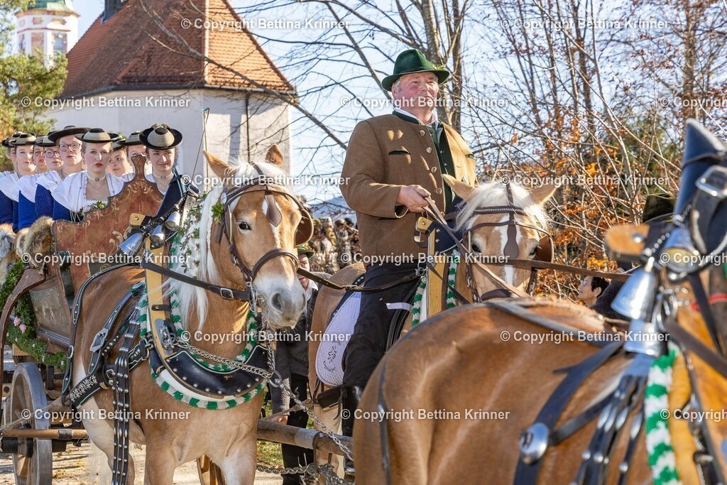 LBT25-1317 | foto-bettina-krinner - Realisiert mit Pictrs.com