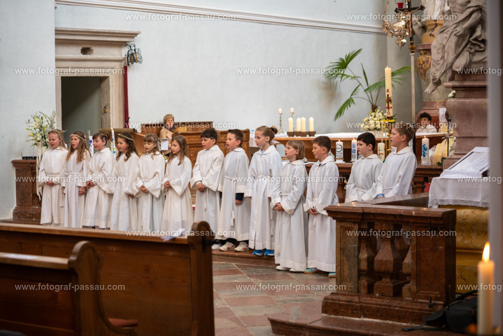 _DSC2671 | Hier finden Sie die Online Foto-Galerie von fotograf-passau.com und marius-handrugan.de. Suchen Sie sich direkt Ihre Lieblingsbilder aus, ob als Ausdruck oder Download. - Realisiert mit Pictrs.com