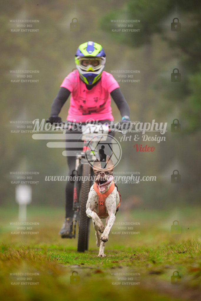 MompixPhotography_Bischwiller2025_Bike-56 | mompixphotography