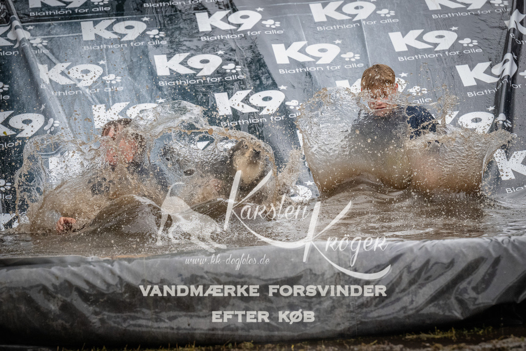 1104_ZZ91614 | kk-dogfotos