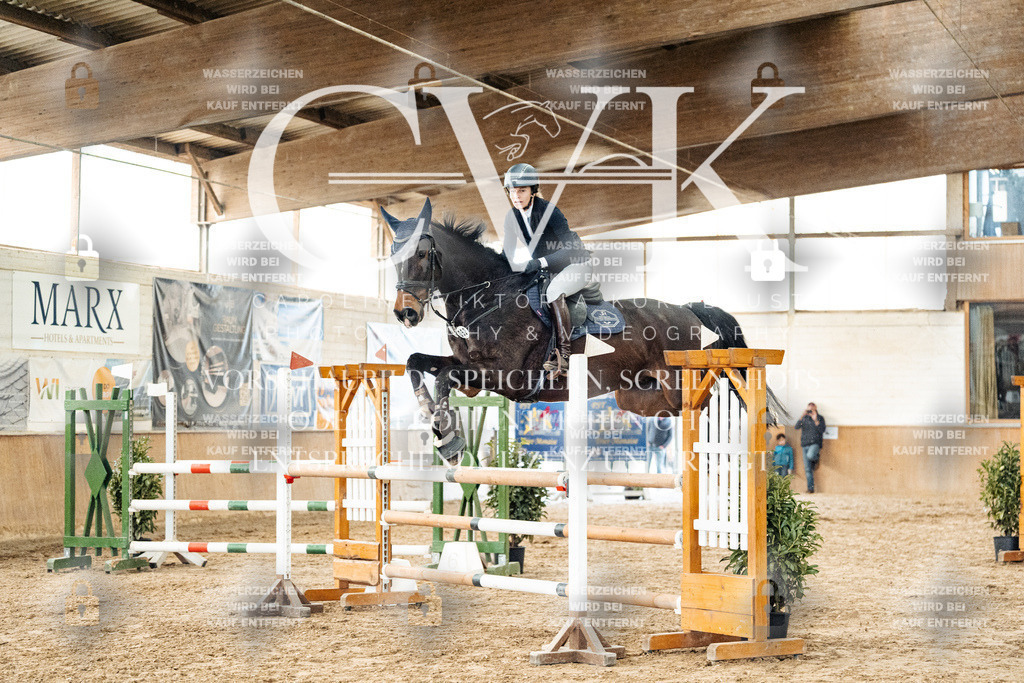 CK906246 | Turnierfotografie Pferdefotografie Trier Rheinland-Pfalz Pferdesport Reitsport Tierfotografie Sportfotografie Pferdevideo Pferdevideografie Equestrianvideography equestrianphotography  - Realisiert mit Pictrs.com