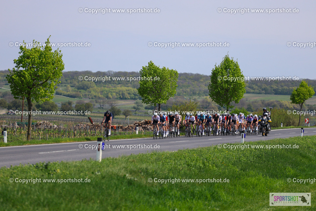 IMG_2184 | @sportshot_your_pictrs #yourpictures#roadtowm2029 #nrm #neusiedlerseeradmarathon #neusiedlersee #neusiedlerseetourismus #burgenland #mörbisch #nrm26 #burgenlandtourismus #voglundco #poweredbyburgenlandtourismus #radsport #rad #marathon #ucigranfondo #visitburgenland #ucigranfondoworldseries