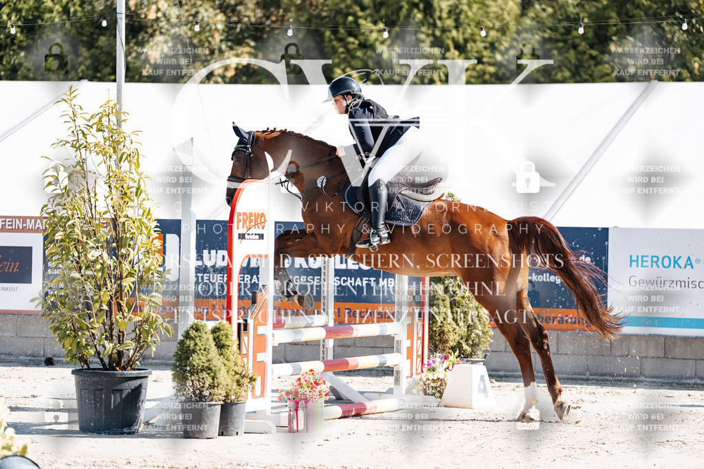 CK904947 | Turnierfotografie Pferdefotografie Trier Rheinland-Pfalz Pferdesport Reitsport Tierfotografie Sportfotografie Pferdevideo Pferdevideografie Equestrianvideography equestrianphotography  - Realisiert mit Pictrs.com