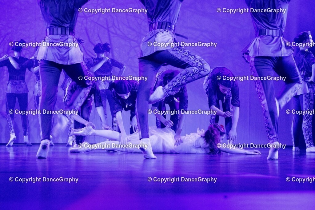 GPHY2740 | DanceGraphy - Realisiert mit Pictrs.com