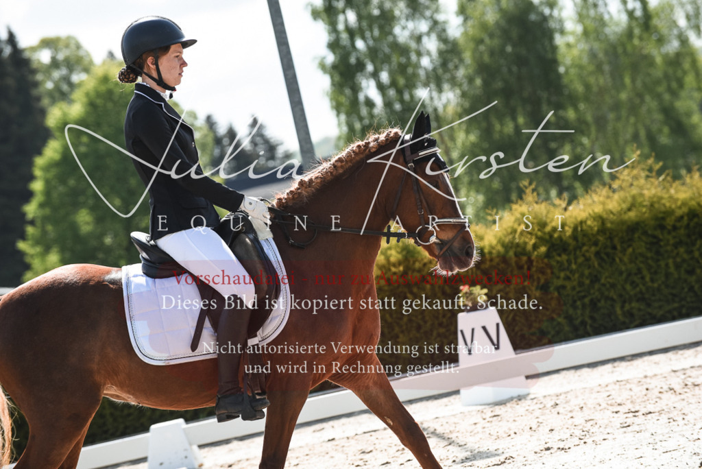 20230518_JK-Röhrsdorf-09-1520 | Pferde- und Turnierfotografie in Westsachsen. Pferdeportraits, Auftragszeichnungen und intuitive Kunst.