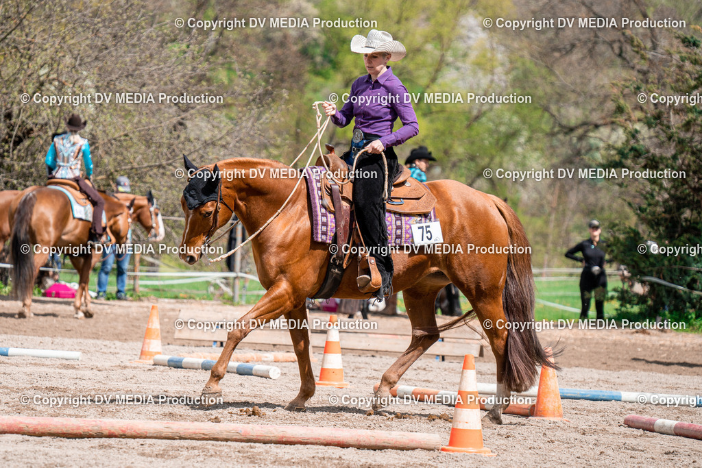 BAL02386 | dv-media-shop - Realisiert mit Pictrs.com