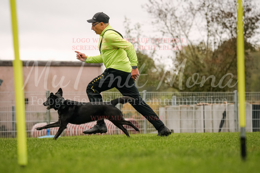 20251005_THS_Turnier-455 | MuT (Mensch und Tier) mit Mona - Fotografie und Tierkommunikation - Realisiert mit Pictrs.com