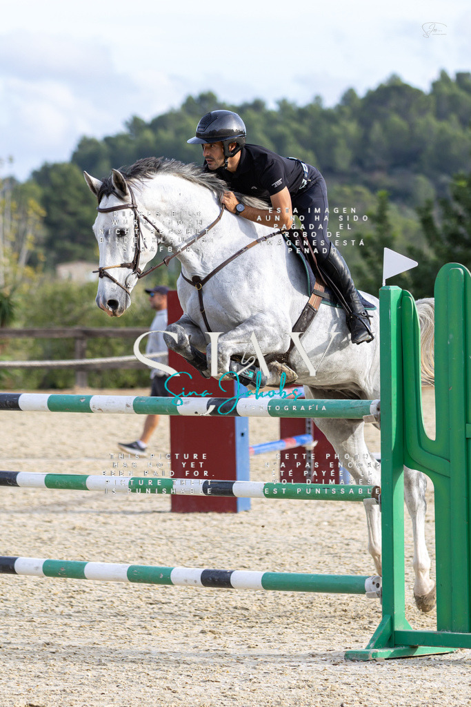 IMG_4848 | s-jay-photography - Realisiert mit Pictrs.com