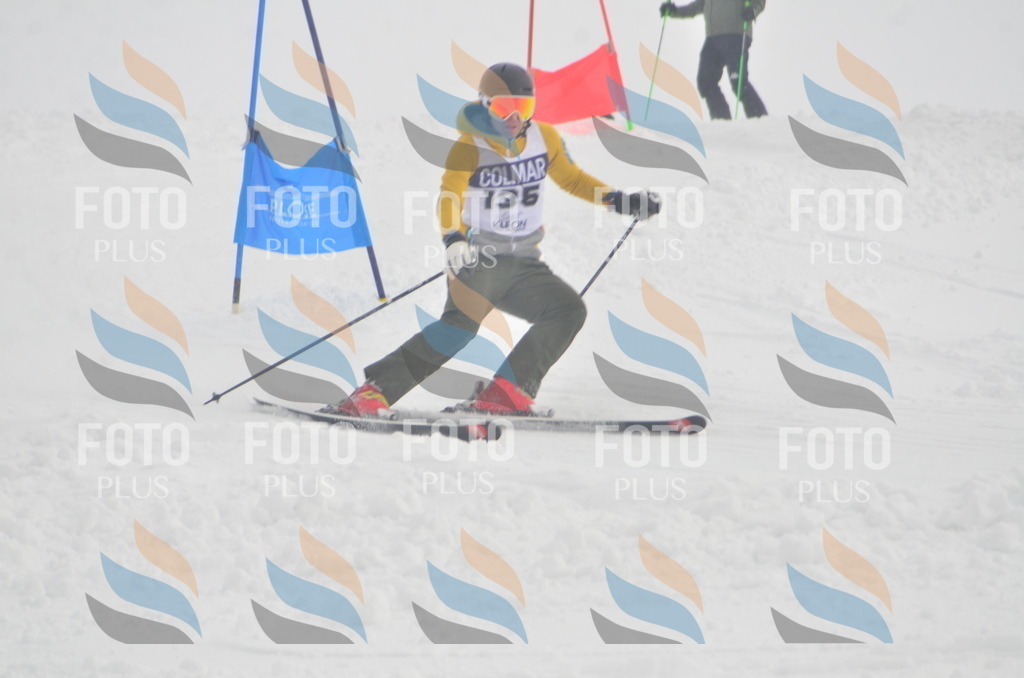 A6108 | holidayphoto