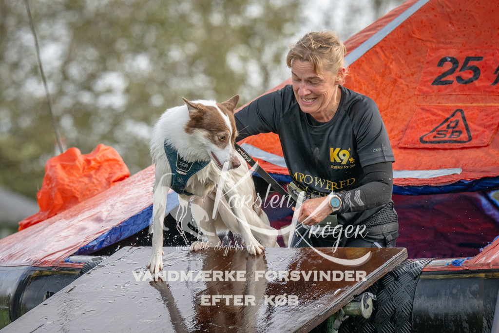 1220-93323 | kk-dogfotos