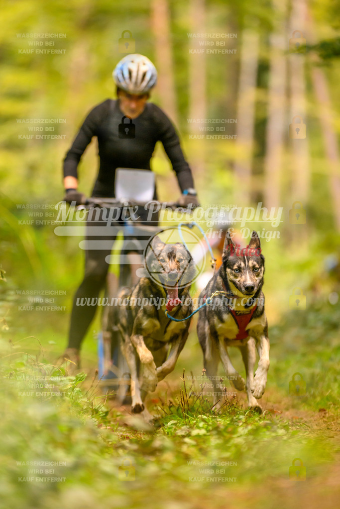 MompixPhotography_Yens2025_B2-122 | PayLife