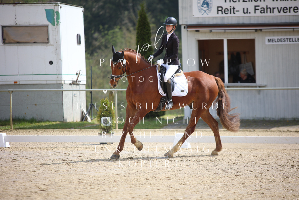 IMGT3489 | pl-fotografie