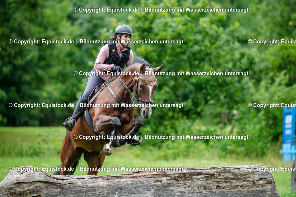 20250725_Vielseitigkeitslehrgang-Marbach_0380 | Foto: Thomas Hartig