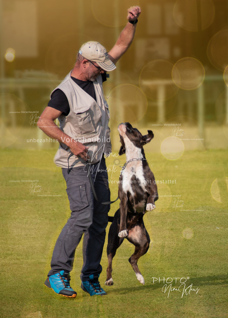IMG_8670-1 | Einzigartige Fotos von Hunden & Menschen –Actionfotos, Portraits, Vereinsaufnahmen & Paarshootings – authentisch, lebendig & mit Herz.
