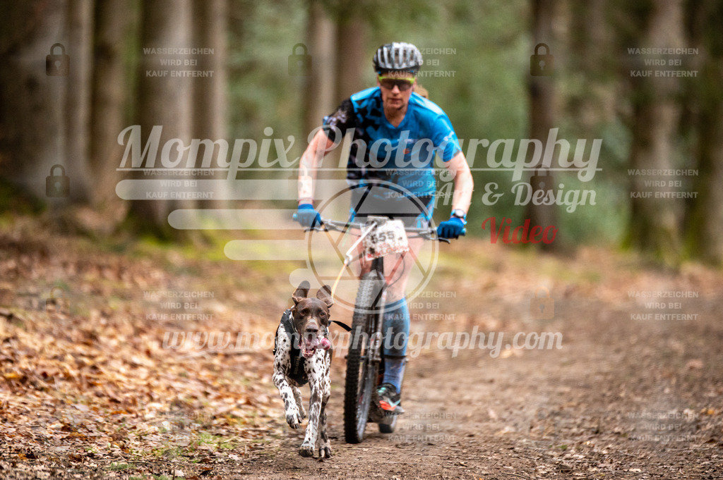 SPA_2023_DIM_Scooter-14 | PayLife