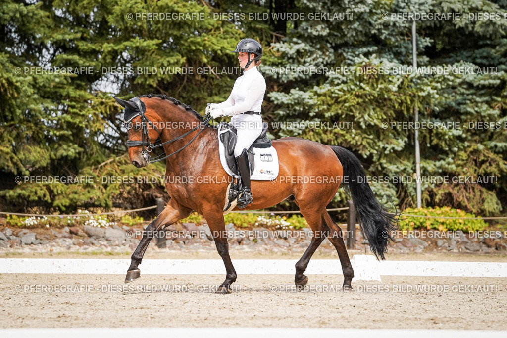 DSC06765 | Pferdegrafie