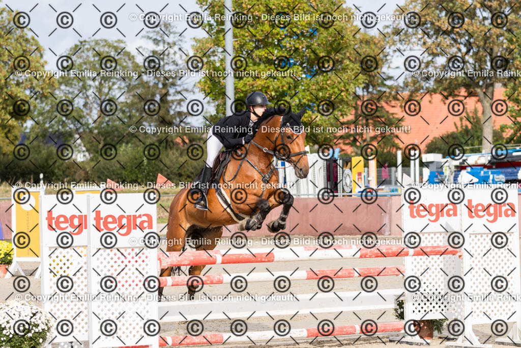 CL5A0060 | Emilia Reinking Fotografie - Realisiert mit Pictrs.com