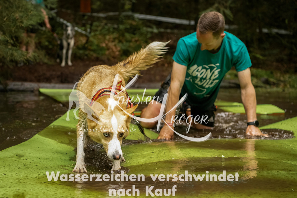 1202_ZZ92433-Bearbeitet | kk-dogfotos