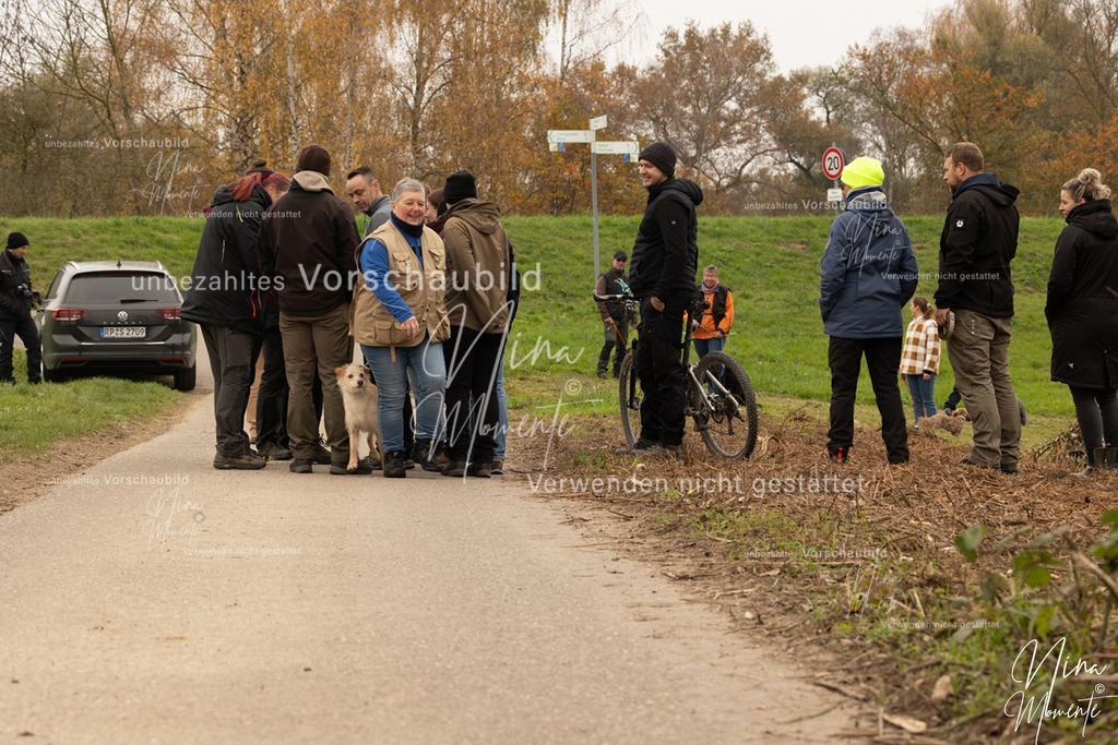 _16A0812 | Einzigartige Fotos von Hunden & Menschen –Actionfotos, Portraits, Vereinsaufnahmen & Paarshootings – authentisch, lebendig & mit Herz.