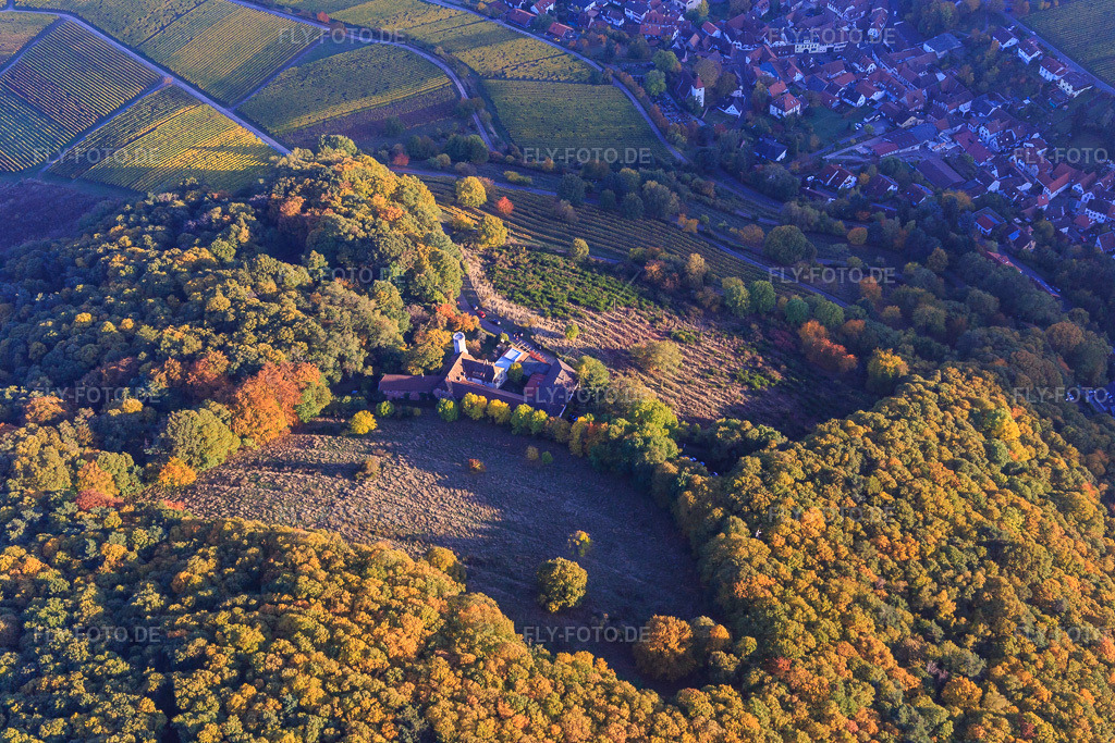 Luftbild: Slevogthof in Leinsweiler im Bundesland Rheinland-Pfalz in Deutschland. Foto: IMG_095718.jpg vom 30.10.2016 durch Werner Riehm/FLY-FOTO.de