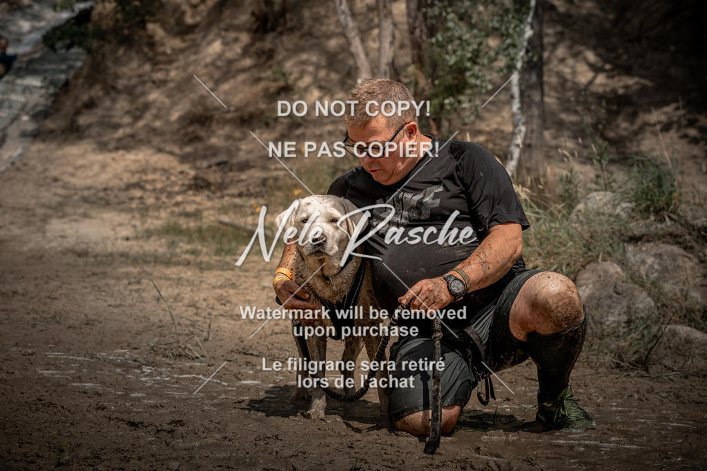 nelerasche_sa1345-1430_312 | nelerasche