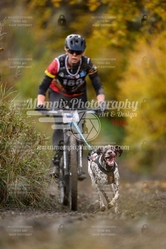 MompixPhotography_ICF_WC_2024_SA_Bike_-266 | PayLife