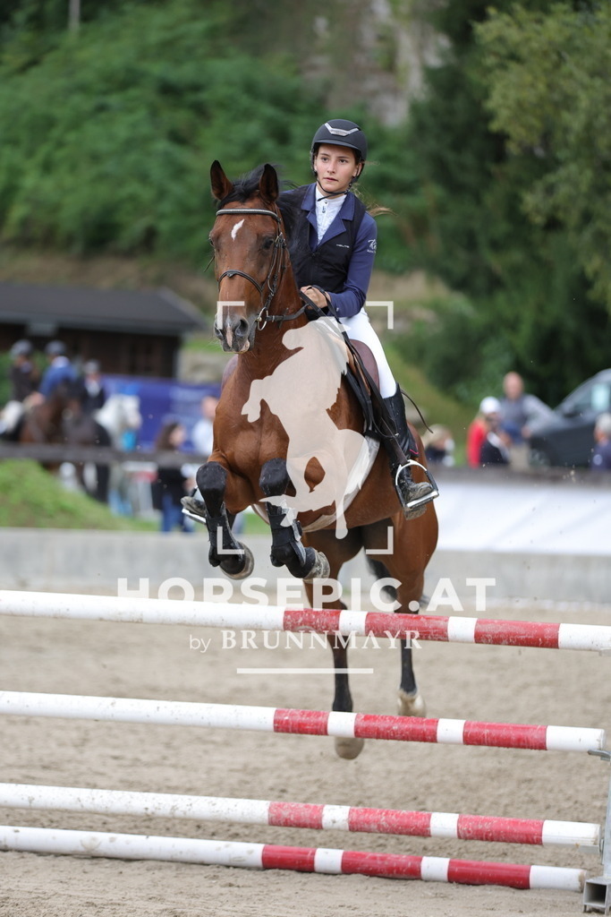 0P6A2617 | Willkommen bei Brunnmayr - Design & Fotografie – Ihrem Spezialisten für Reitturniere und Pferdeveranstaltungen in Oberösterreich, Salzburg und Bayern! Seit über 17 Jahren sind wir leidenschaftlich dabei.