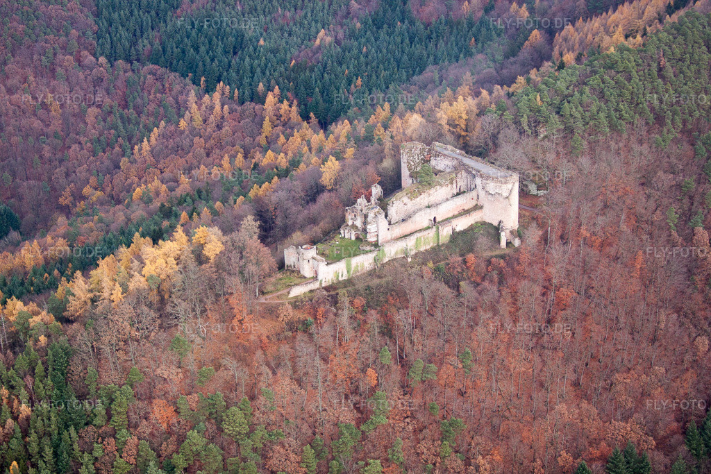 Luftbild: Ruine und Mauerreste der ehemaligen Burganlage und Feste Burg Neuscharfeneck im herbstlich bunten Wald in Flemlingen im Bundesland Rheinland-Pfalz in Deutschland. Foto: IMG_61245.jpg vom 30.11.2013 durch Werner Riehm/FLY-FOTO.de