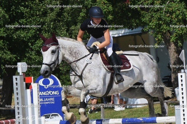 Zeit L (32) | Fotografie, Tiere, Hunde, Katzen, Pferde, Sportfotografie, Fotosession, Tierfotografie, Turnierfotografie, Fotografin, Fotograf - Realisiert mit Pictrs.com