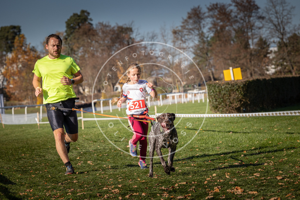 CaniXpix_0L8A7107 | Hundefotografie, Tierfotograf, Pfotenfotografie, Fotoshooting Hund, Hunde Portrait, Hundesport, Hundeportraits, Heideshooting, Hunde, Sportfotograf, Hundefotograf, Turnierhundsport, THS,  - Realisiert mit Pictrs.com