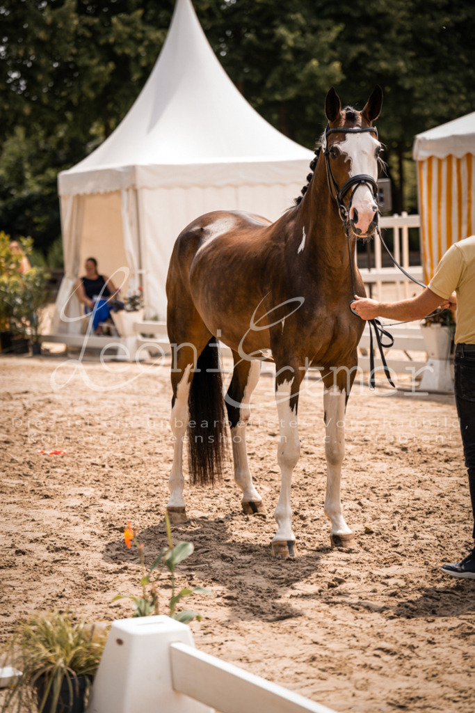 2. Fr00188 | Leoni Ertmer Photography - Realisiert mit Pictrs.com