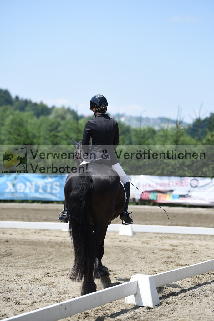 DSC_0490 | equestrian-live-com