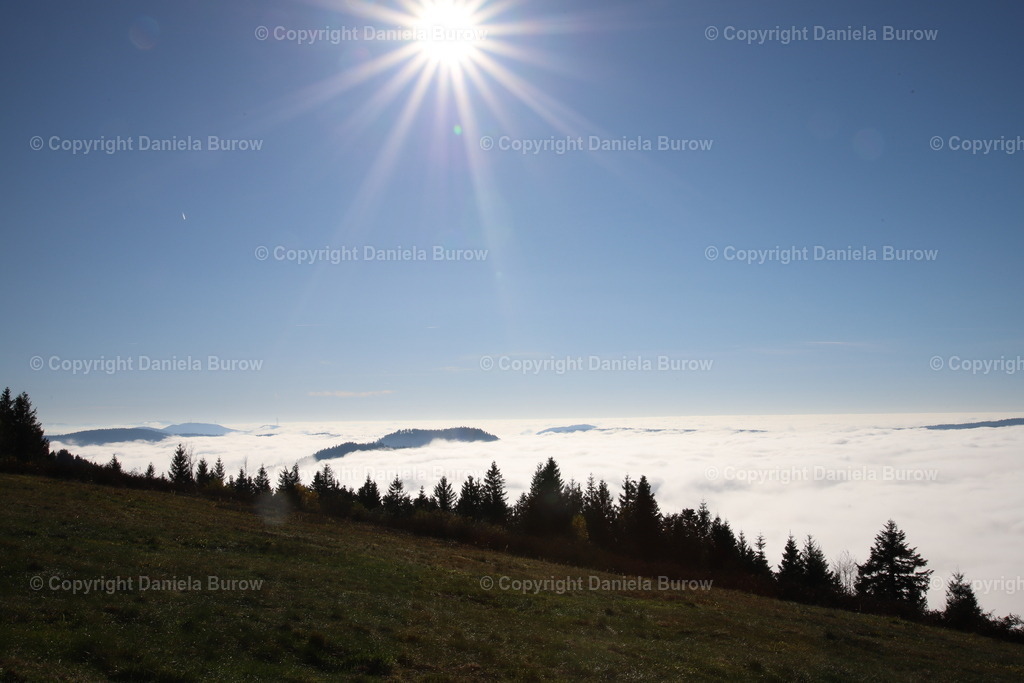 Sonne kalt | danielaburow - Realisiert mit Pictrs.com