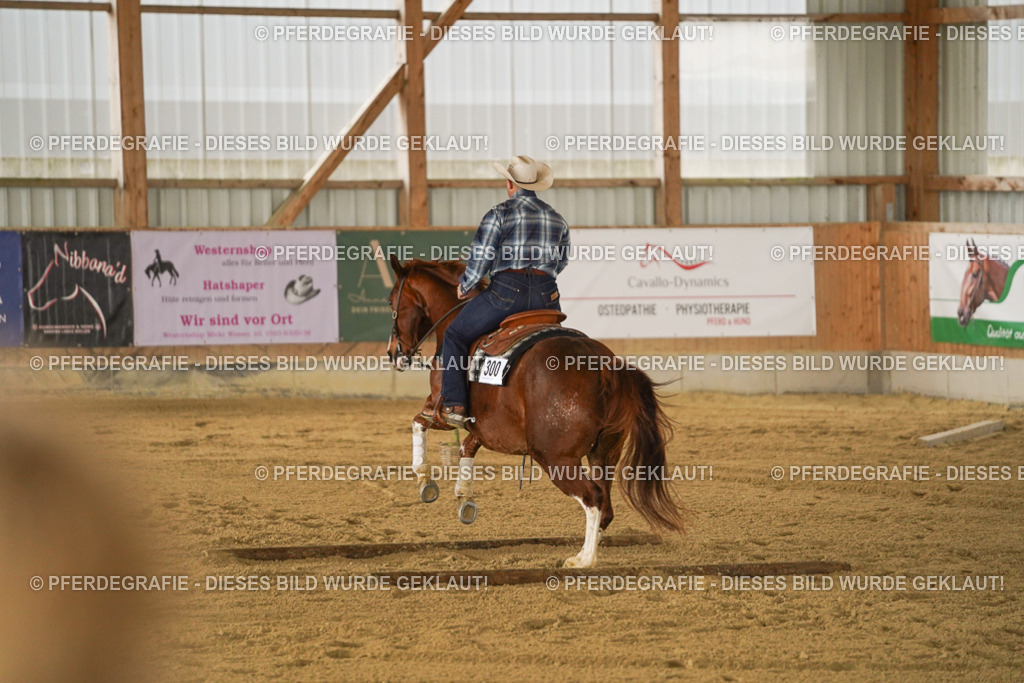 DSC04042 | Pferdegrafie