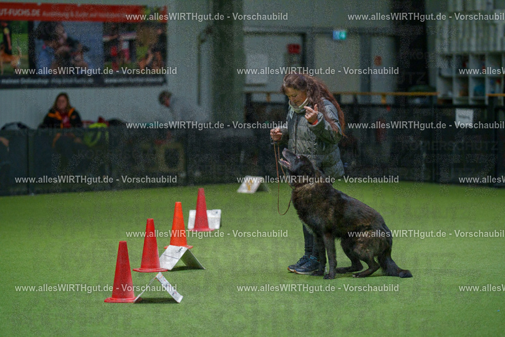 7R504973 | Professionelle Tierfotografie in Mönchengladbach von Daniel Wirth (allesWIRTHgut). Liebevolle & natürliche Bilder von Hunden & Katzen für unvergessliche Erinnerungen.