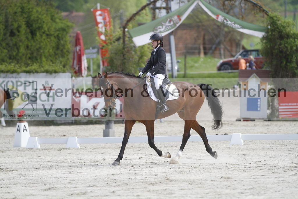 _MG_8230 | equestrian-live-com