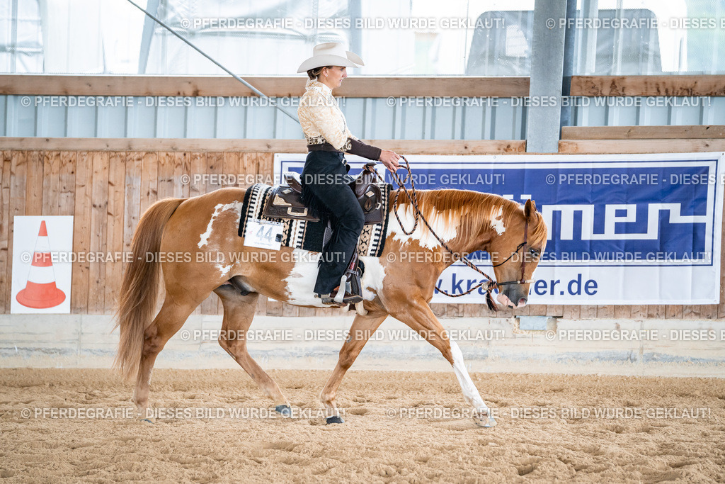 DSC02271 | Pferdegrafie