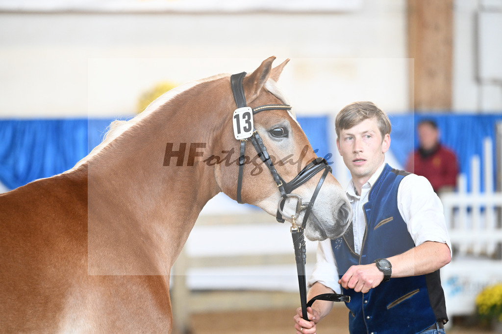 Kat-Nr. 13 Wolverine v. Westwind_Lechner_48250272 | hf-fotografie - Realisiert mit Pictrs.com