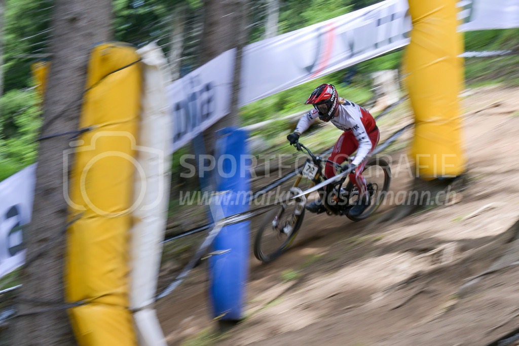 UCI Mountain Bike World Cup Lenzerheide 2022 - Downhill - 9. July 2022 | UCI Mountain Bike World Cup Lenzerheide 2022 - Downhill
Bike Kingdom, Lenzerheide
#72 NIEDERBERGER Noel (SUI)
Bild: Sportfotografie Markus Aeschimann | www.markus-aeschimann.ch - Realisiert mit Pictrs.com