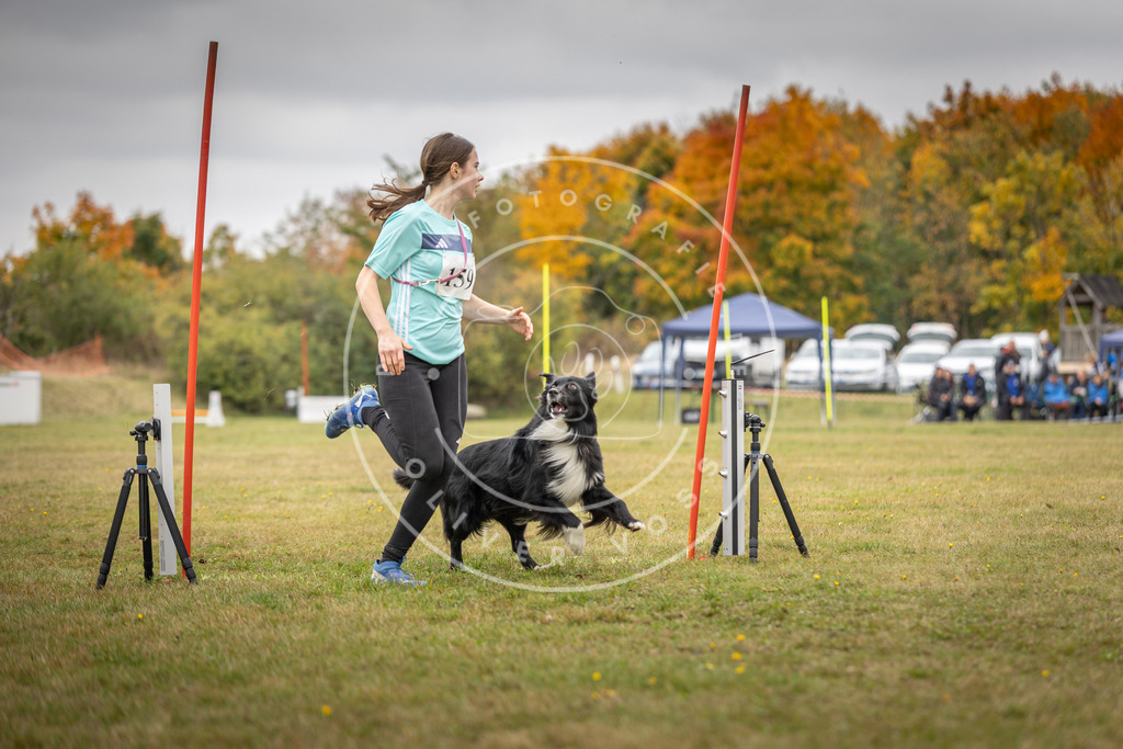Pfotenfotografie_DV3A5113 | Hundefotografie, Tierfotograf, Pfotenfotografie, Fotoshooting Hund, Hunde Portrait, Hundesport, Hundeportraits, Heideshooting, Hunde, Sportfotograf, Hundefotograf, Turnierhundsport, THS,  - Realisiert mit Pictrs.com