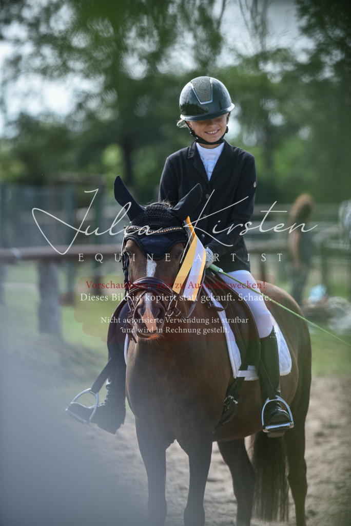 DSC_8715 | Pferde- und Turnierfotografie in Westsachsen. Pferdeportraits, Auftragszeichnungen und intuitive Kunst.