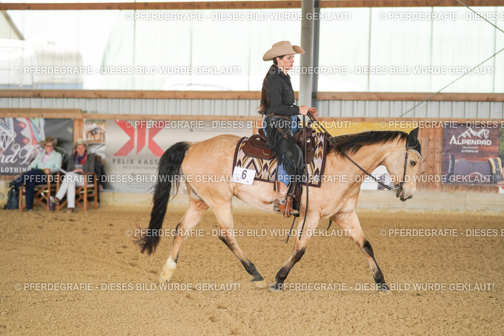 DSC02508 | Pferdegrafie