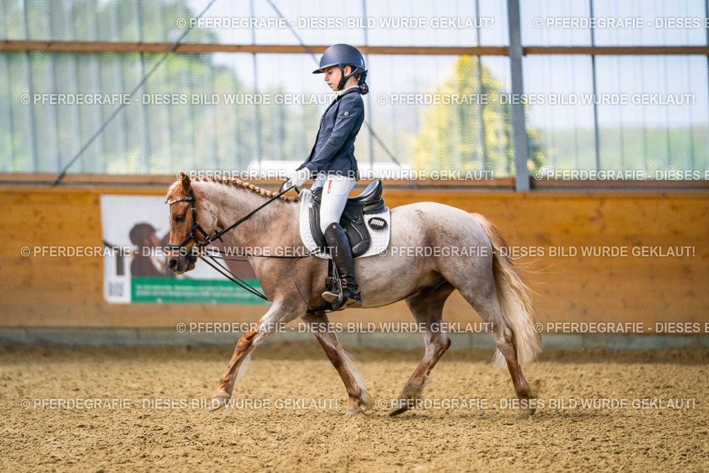 DSC02472 | Pferdegrafie