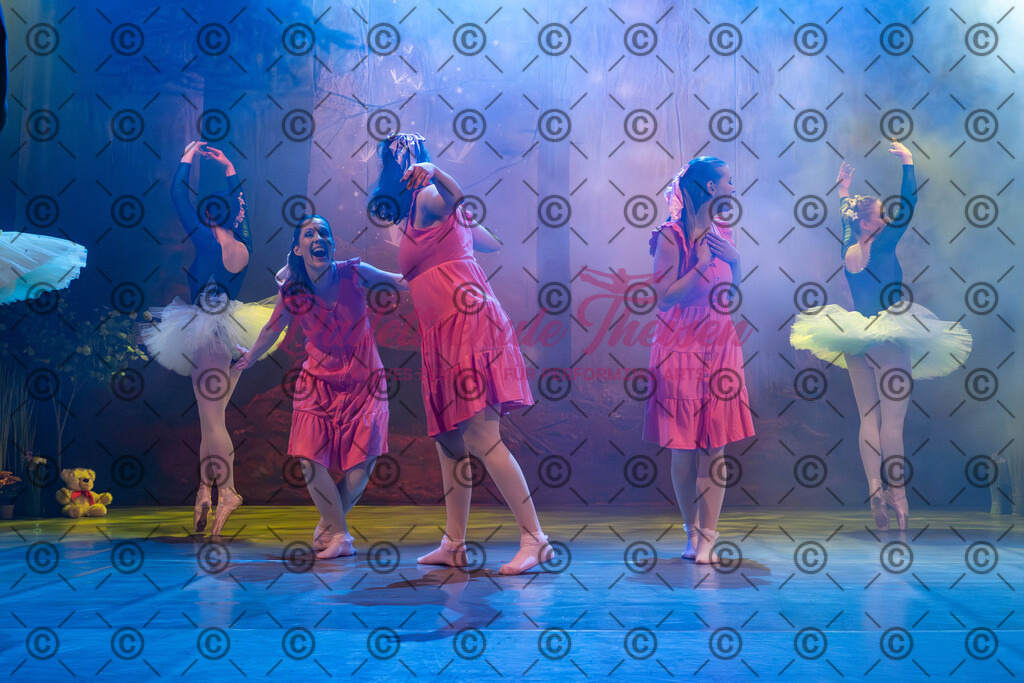 Ballettaufführung-889 | Bildershop Lem'n Entertainment - Realisiert mit Pictrs.com