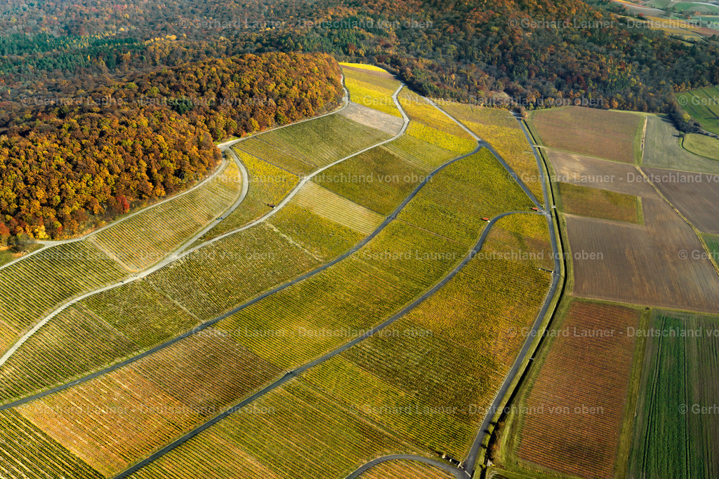 3198565 | Weinbergslandschaft an der Mainschleife bei Escherndorf und Nordheim