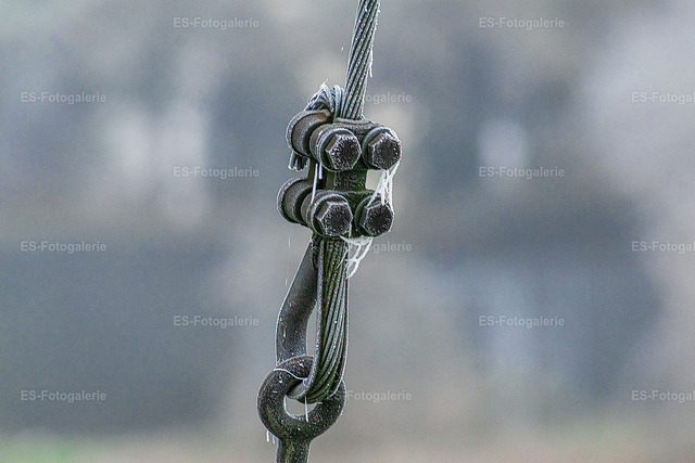 Winterfrost