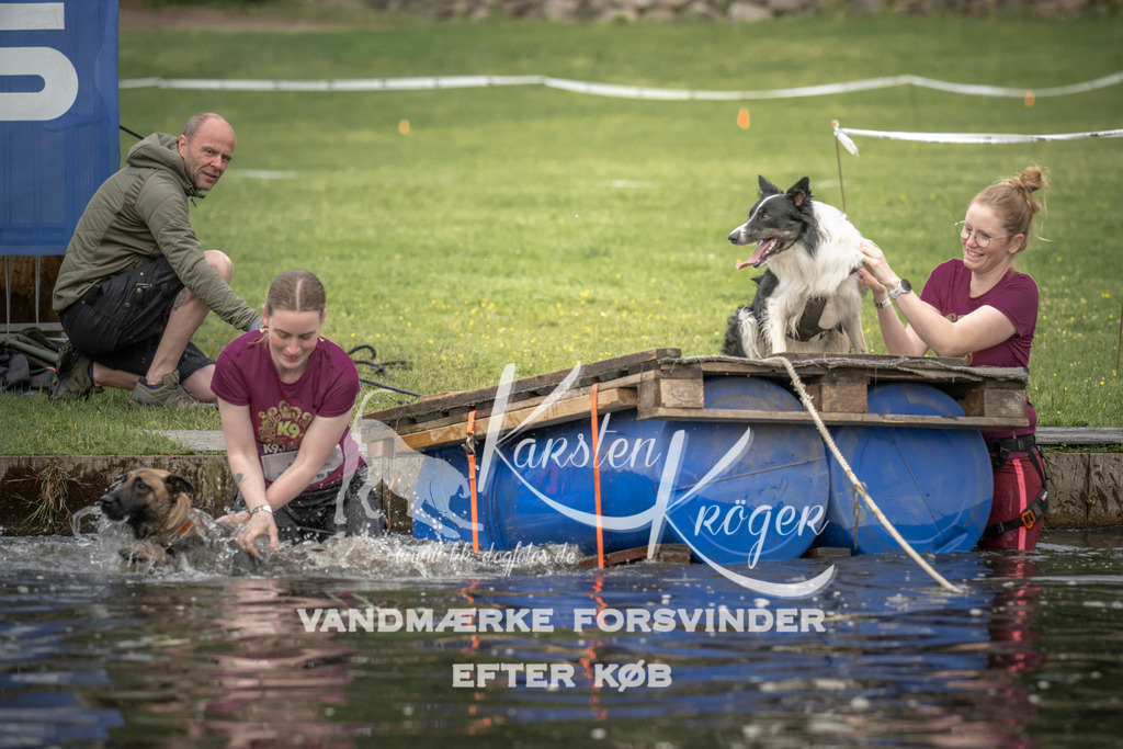 0802_ZZ90312 | kk-dogfotos